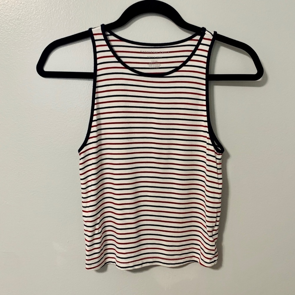 American Eagle Striped Cropped Tank